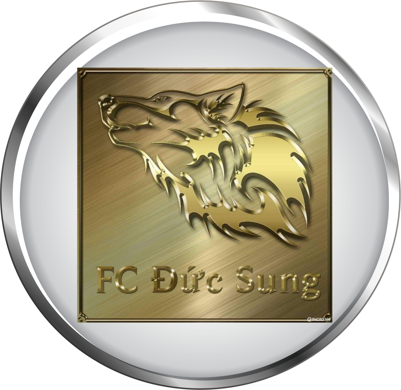 FC ĐỨC SUNG